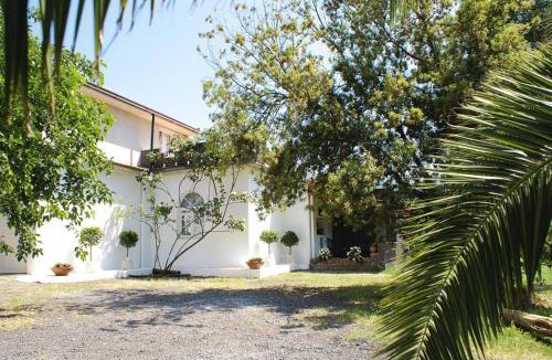 Rovittello House | Villa with Pool in Castiglione di Sicilia