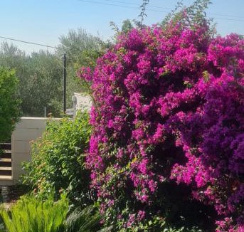 Molfetta Villa | VillaTonia - Suite home