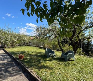 Rose House | Villetta Indipendente fra i pini della Sila CS