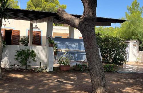Favignana Villa | VILLETTA OASI