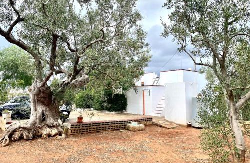 Salve Villa | Villetta Salentorelax