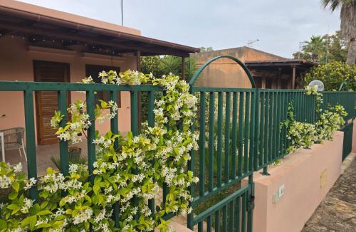 San Vito Lo Capo Villa | Villetta Viola