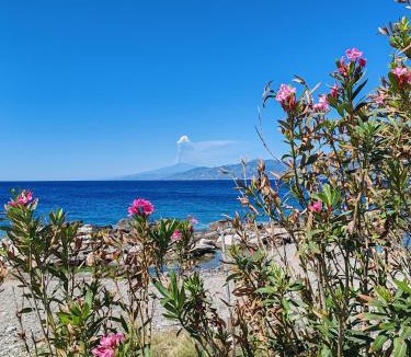 Archi Villa | Villino TerrAmare