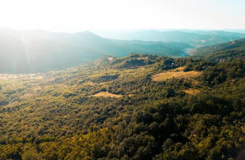 San Costantino Albanese Other | Wild Orchard Farm