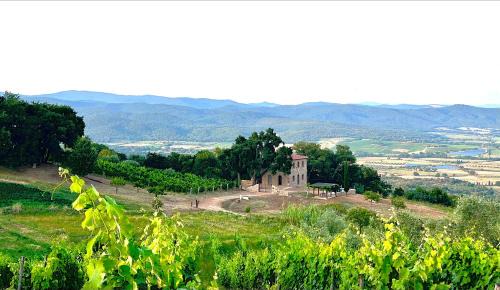 Montalcino Villa | Wonderful New Villa in Maremma near Montalcino