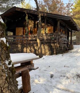 Ragalna Ski Chalet | Woods Etna Chalet