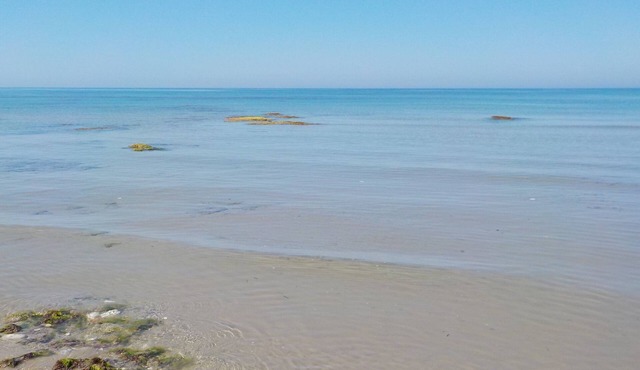 A few steps from the sea