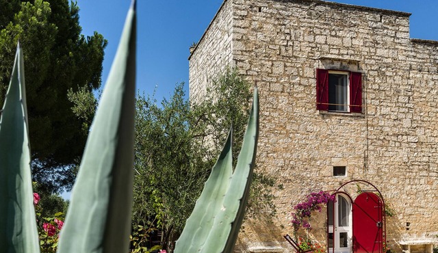 A passion. Torre Gigliano Ruvo di Puglia