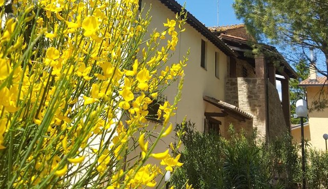 Agriturismo La Ginestrella