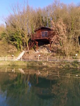 ANIMA MUNDI case SULL'ALBERO