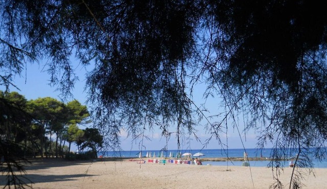 Apartment/ flat - Gallipoli