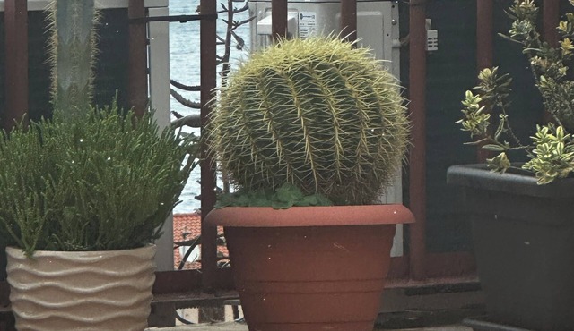 Appartamenti Scilla paese albergo