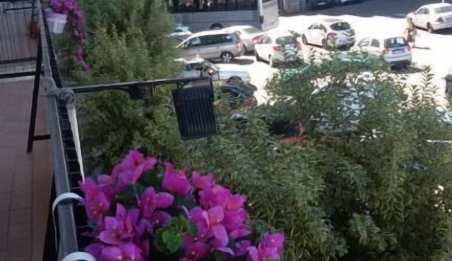 B&B San Francesco