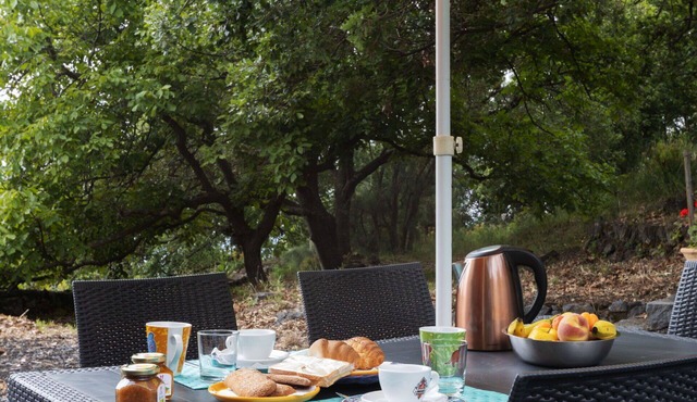 Beautiful private villa for 6 people with WIFI, TV, terrace and pets allowed