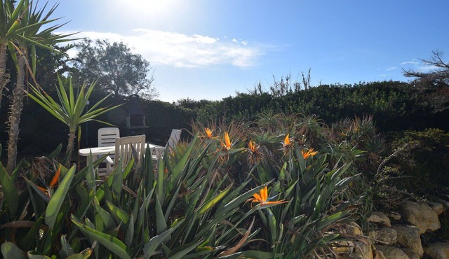 Beautiful villa for 7 people with WIFI, A/C, TV, patio, pets allowed and panoramic view