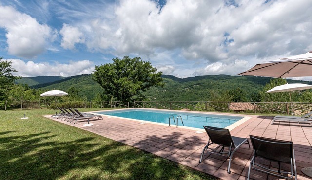Belvedere by Interhome