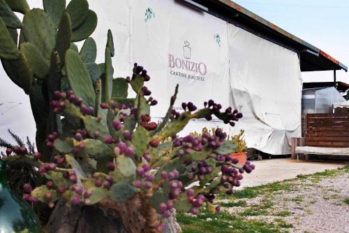 Bio Bonizio nel Borgo