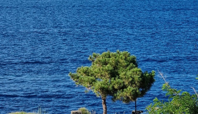 Bivani with view to Vulcanello (B3)