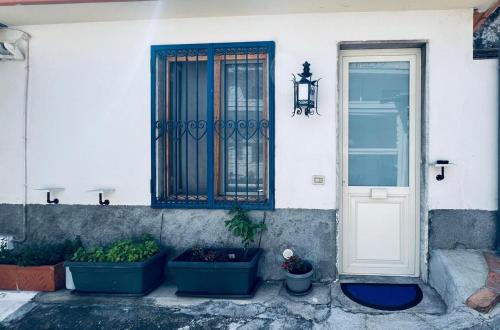Blue House