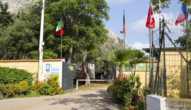 Camping Degli Ulivi
