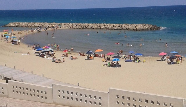 CampoDiMare .