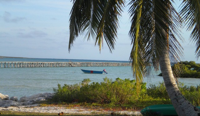 Captains View Nestled on the Beach in Abaco