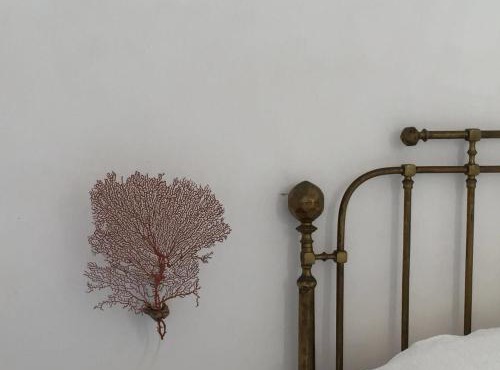Casa Falco Della Regina