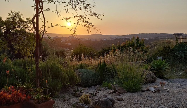 Casa Isabella - a cook's and garden lovers paradise - perfect for winter rental