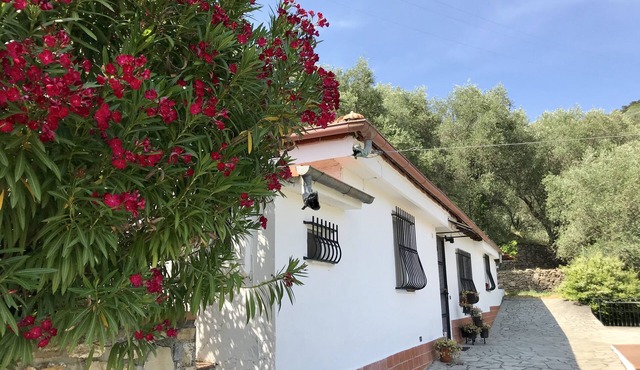 Casa Uliveto