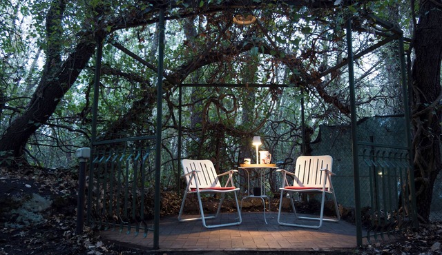 Casa Vacanza Immersa nel Bosco del Parco Dell'etna,ideale per Famiglie e Amici