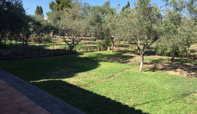 Casale Uliveto from Stefania