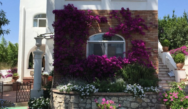 Central apartment in historic Villa in the Heart of Anacapri with swimming pool.