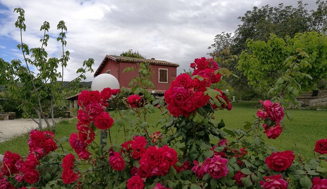 Ceretanum Holiday House