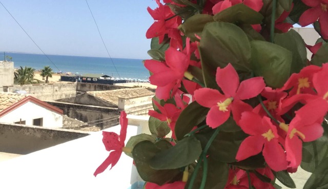 Comfortable and well-furnished single-family house facing the sea, 8/10 beds