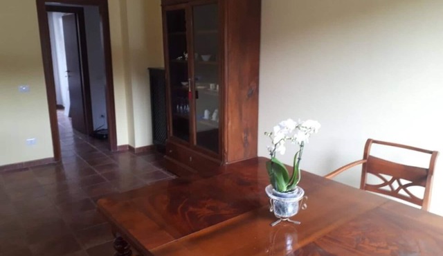 Cozy apartment a stone's throw from the historic center of Rome