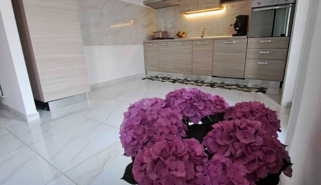 Cozy apartment within walking distance of the sea, lake and historic center