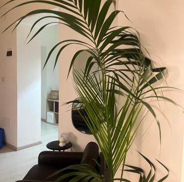 Deodato guesthouse