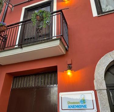 Domus Anemone B&B