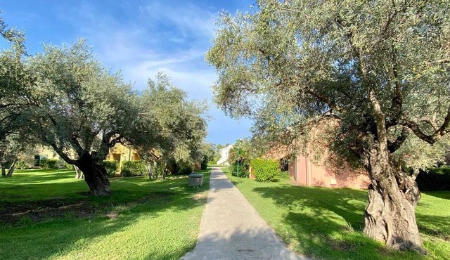 Fantastic apartment among olive trees a few steps from the sea