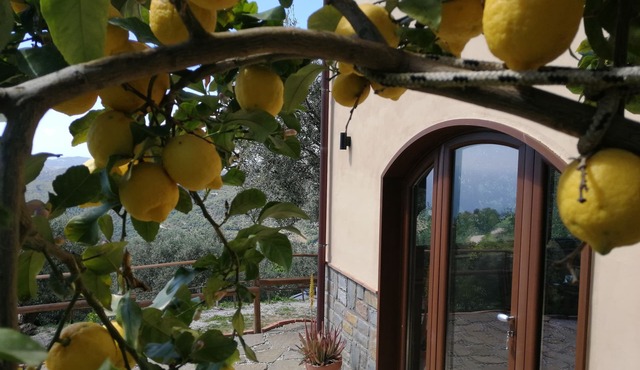 Farmhouse Agriculture Rascio