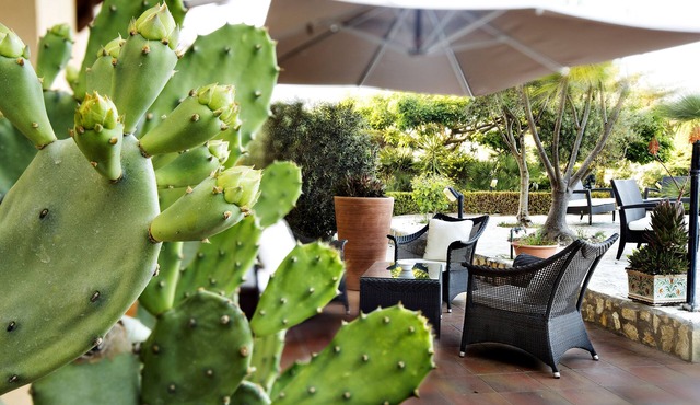 FAVIGNANA HOTEL Concept Holiday
