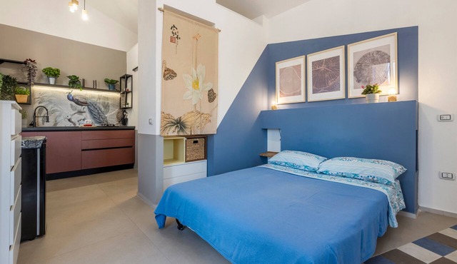 Fiorelli 17 - Blue Peafowl Studio with Private Terrace and Wi-Fi