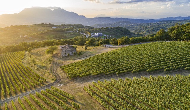 Foresteria Relais/Country House surrounded by vineyards