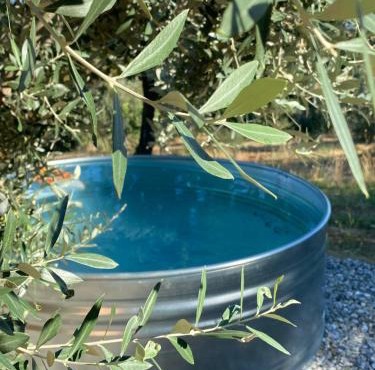 Glamping - La Giara