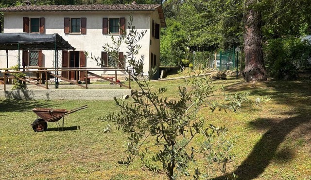 Guest-House FourWinds, home in relaxation in Tuscany in Toscana
