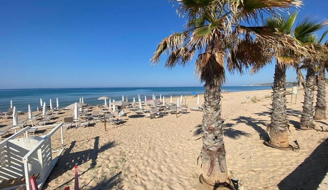 Holiday house Menfi for 1 - 6 persons with 3 bedrooms - Holiday home