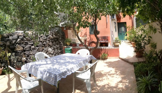 Home & Garden