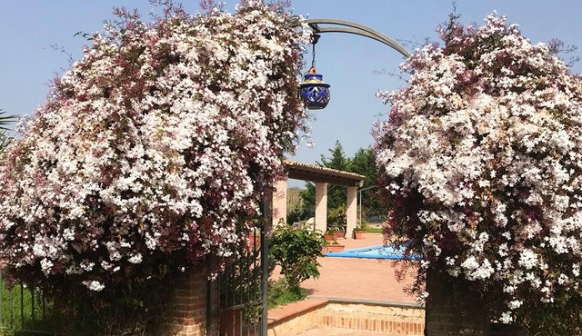 Homerez - Beautiful studio for 2 ppl. with shared pool at Grammichele