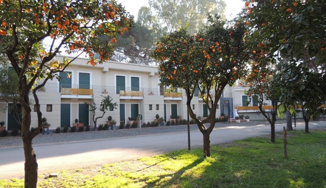 Hotel Zeus
