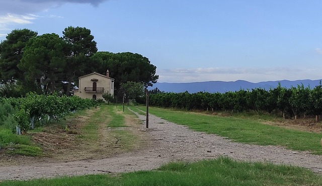 House in a romantic citrus grove, private access to the beach, relax and tranquility!